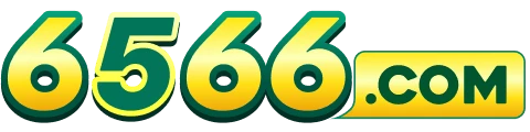 6566.com